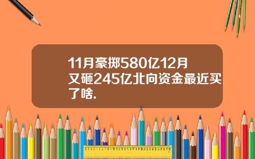11月豪掷580亿12月又砸245亿北向资金最近买了啥.