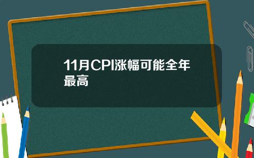 11月CPI涨幅可能全年最高