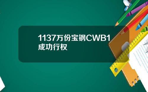 1137万份宝钢CWB1成功行权