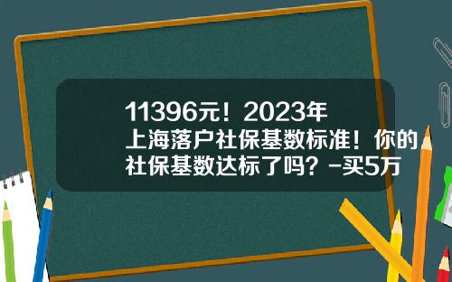 11396元！2023年上海落户社保基数标准！你的社保基数达标了吗？-买5万的车保险和落户要多少钱【新闻】