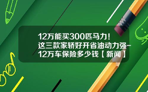 12万能买300匹马力！这三款家轿好开省油动力强-12万车保险多少钱【新闻】