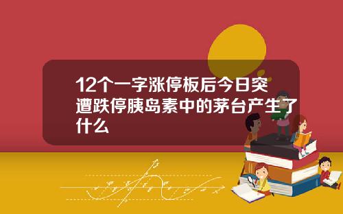 12个一字涨停板后今日突遭跌停胰岛素中的茅台产生了什么