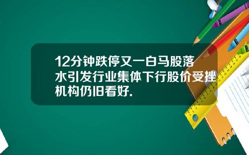 12分钟跌停又一白马股落水引发行业集体下行股价受挫机构仍旧看好.