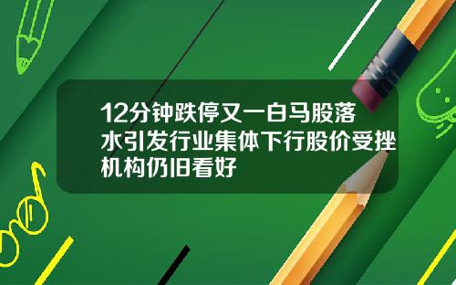 12分钟跌停又一白马股落水引发行业集体下行股价受挫机构仍旧看好