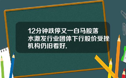 12分钟跌停又一白马股落水激发行业团体下行股价受挫机构仍旧看好.