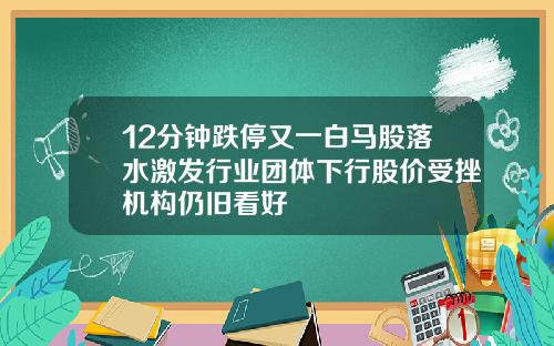 12分钟跌停又一白马股落水激发行业团体下行股价受挫机构仍旧看好