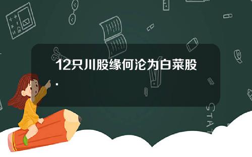 12只川股缘何沦为白菜股.
