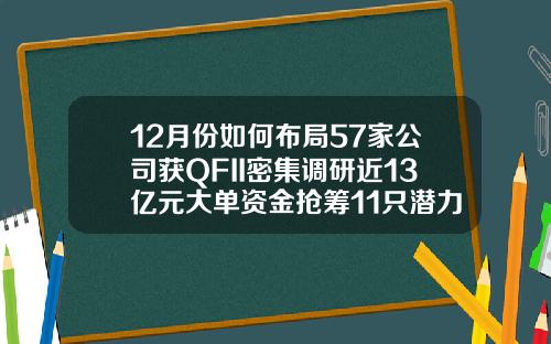 12月份如何布局57家公司获QFII密集调研近13亿元大单资金抢筹11只潜力股