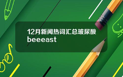 12月新闻热词汇总玻尿酸beeeast