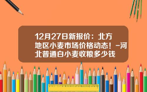 12月27日新报价：北方地区小麦市场价格动态！-河北普通白小麦收粮多少钱