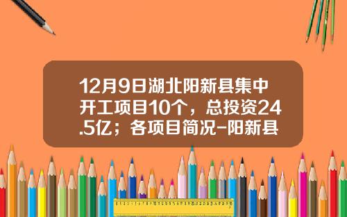 12月9日湖北阳新县集中开工项目10个，总投资24.5亿；各项目简况-阳新县城镇建设投资开发有限公司