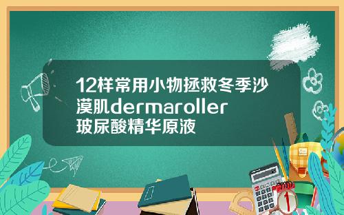 12样常用小物拯救冬季沙漠肌dermaroller玻尿酸精华原液