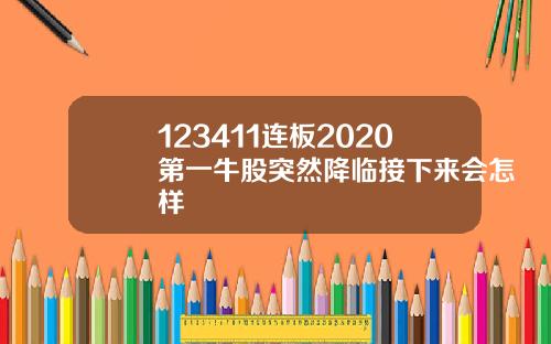 123411连板2020第一牛股突然降临接下来会怎样