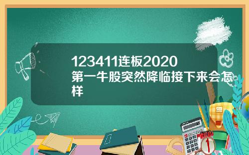 123411连板2020第一牛股突然降临接下来会怎样