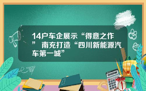 14户车企展示“得意之作” 南充打造“四川新能源汽车第一城”
