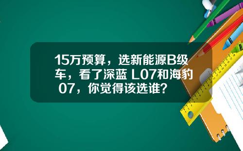 15万预算，选新能源B级车，看了深蓝 L07和海豹 07，你觉得该选谁？