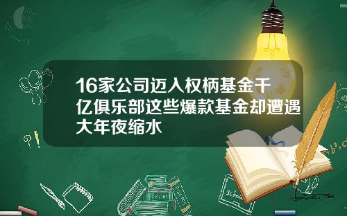 16家公司迈入权柄基金千亿俱乐部这些爆款基金却遭遇大年夜缩水