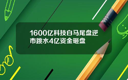 1600亿科技白马尾盘逆市跳水4亿资金砸盘