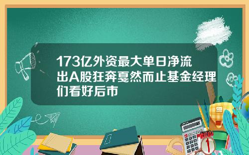 173亿外资最大单日净流出A股狂奔戛然而止基金经理们看好后市
