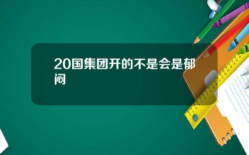 20国集团开的不是会是郁闷