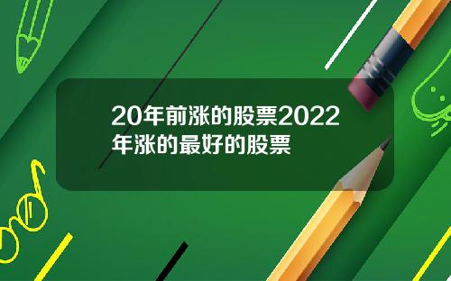 20年前涨的股票2022年涨的最好的股票