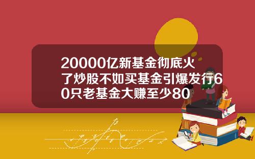 20000亿新基金彻底火了炒股不如买基金引爆发行60只老基金大赚至少80