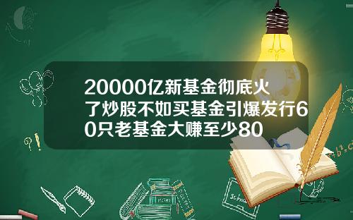 20000亿新基金彻底火了炒股不如买基金引爆发行60只老基金大赚至少80