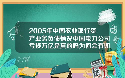 2005年中国农业银行资产业务负债情况中国电力公司亏损万亿是真的吗为何会有如此多的负债【最新】