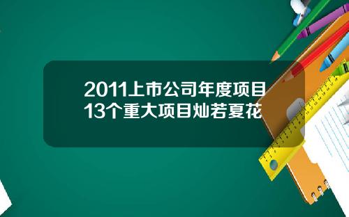2011上市公司年度项目13个重大项目灿若夏花