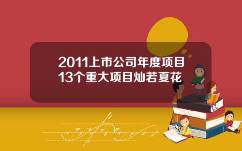 2011上市公司年度项目13个重大项目灿若夏花