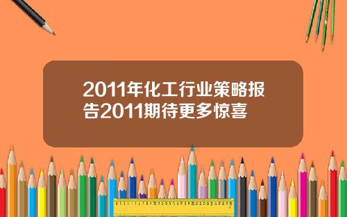 2011年化工行业策略报告2011期待更多惊喜