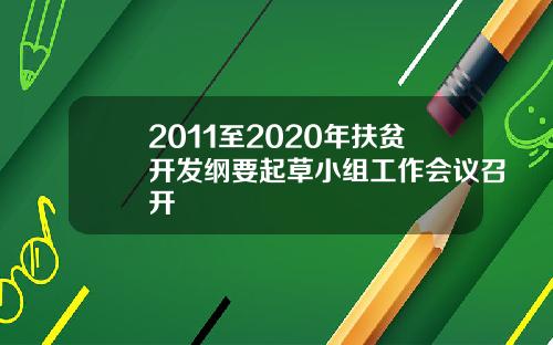 2011至2020年扶贫开发纲要起草小组工作会议召开