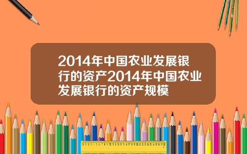 2014年中国农业发展银行的资产2014年中国农业发展银行的资产规模