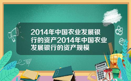 2014年中国农业发展银行的资产2014年中国农业发展银行的资产规模