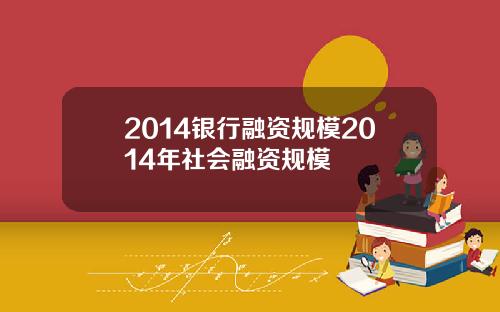 2014银行融资规模2014年社会融资规模