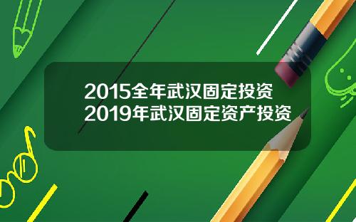 2015全年武汉固定投资2019年武汉固定资产投资