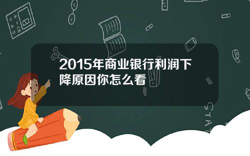 2015年商业银行利润下降原因你怎么看