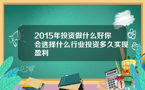 2015年投资做什么好你会选择什么行业投资多久实现盈利