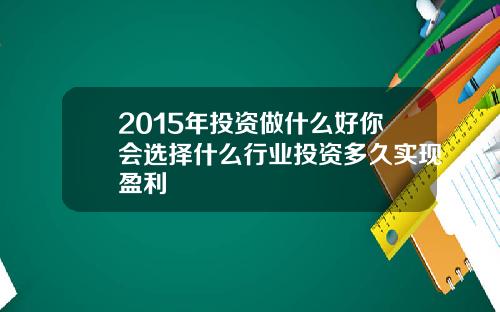 2015年投资做什么好你会选择什么行业投资多久实现盈利