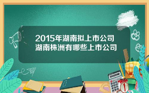 2015年湖南拟上市公司湖南株洲有哪些上市公司