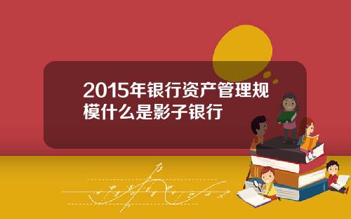 2015年银行资产管理规模什么是影子银行