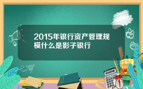 2015年银行资产管理规模什么是影子银行