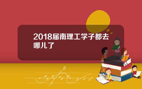 2018届南理工学子都去哪儿了