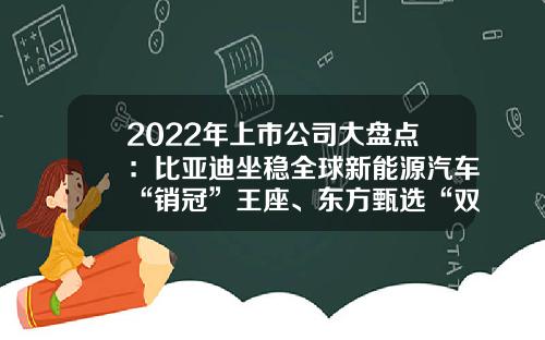 2022年上市公司大盘点：比亚迪坐稳全球新能源汽车“销冠”王座、东方甄选“双语直播带货”火出圈-能源类上市公司