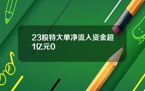 23股特大单净流入资金超1亿元0