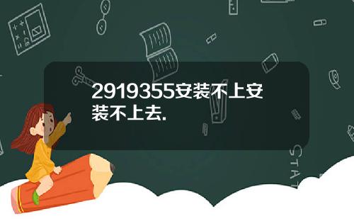 2919355安装不上安装不上去.