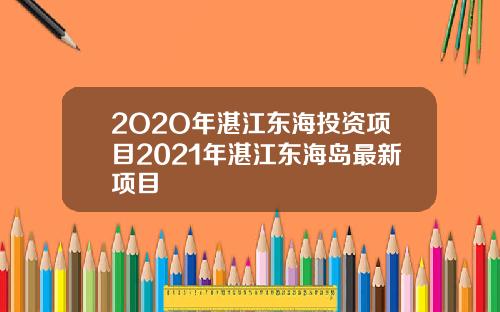 2O2O年湛江东海投资项目2021年湛江东海岛最新项目