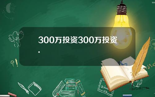 300万投资300万投资.
