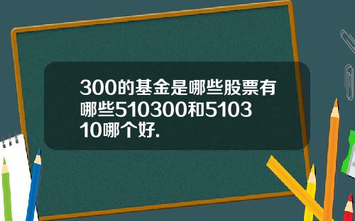 300的基金是哪些股票有哪些510300和510310哪个好.