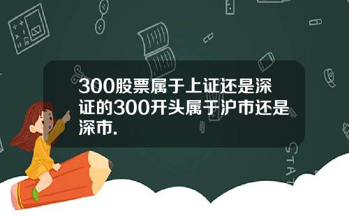 300股票属于上证还是深证的300开头属于沪市还是深市.